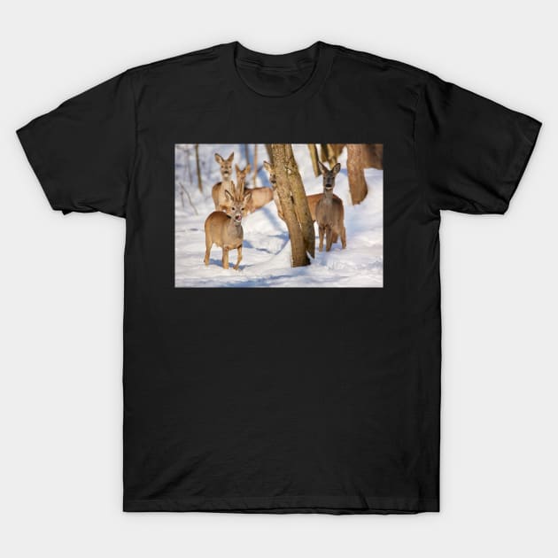 Roe deer in the forest T-Shirt by naturalis